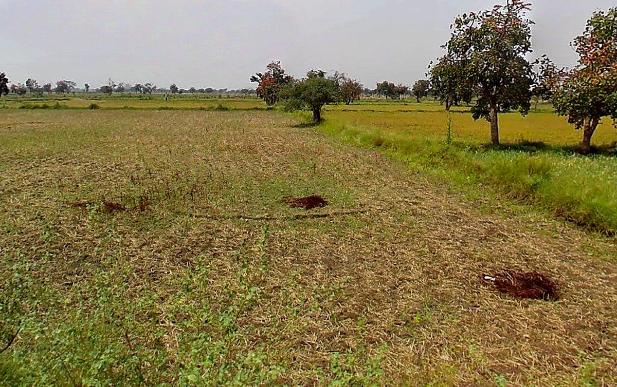 Khaira, Chhattisgarh 493118, India