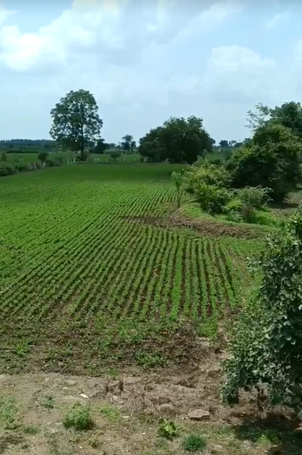P32W+RPR, Rajgarh, Narsinghgarh, Madhya Pradesh 465669, India