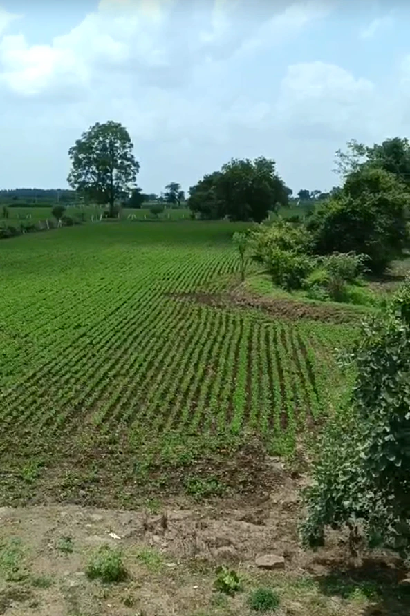 P32W+RPR, Rajgarh, Narsinghgarh, Madhya Pradesh 465669, India