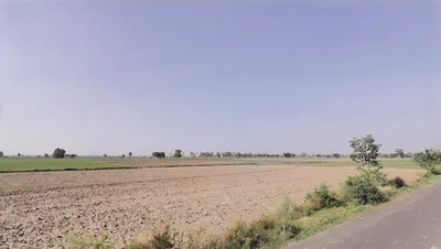 Munak, Haryana 132040, India preview 2