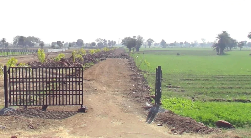 67HC+V7X, Int Khedichhap, Madhya Pradesh, India preview 2