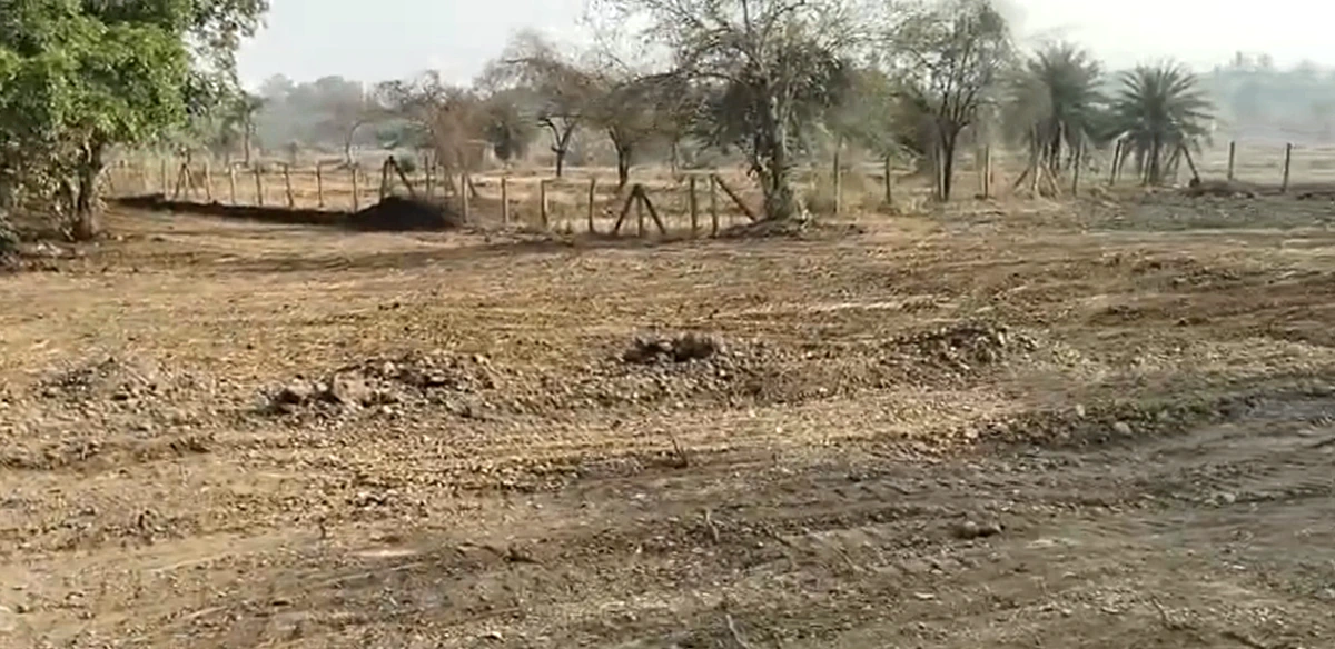 PWP8+GHG, Palghar, Nandgaon T. Manor, Maharashtra 401403, India - Photo 4
