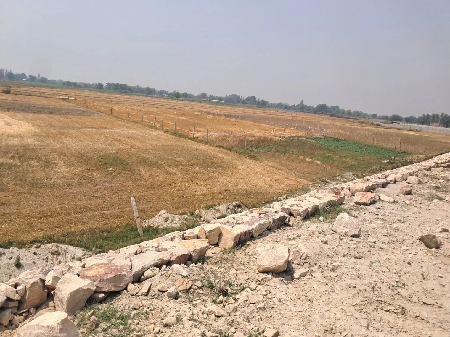 P65X+XC Sanethu, Uttar Pradesh, India
