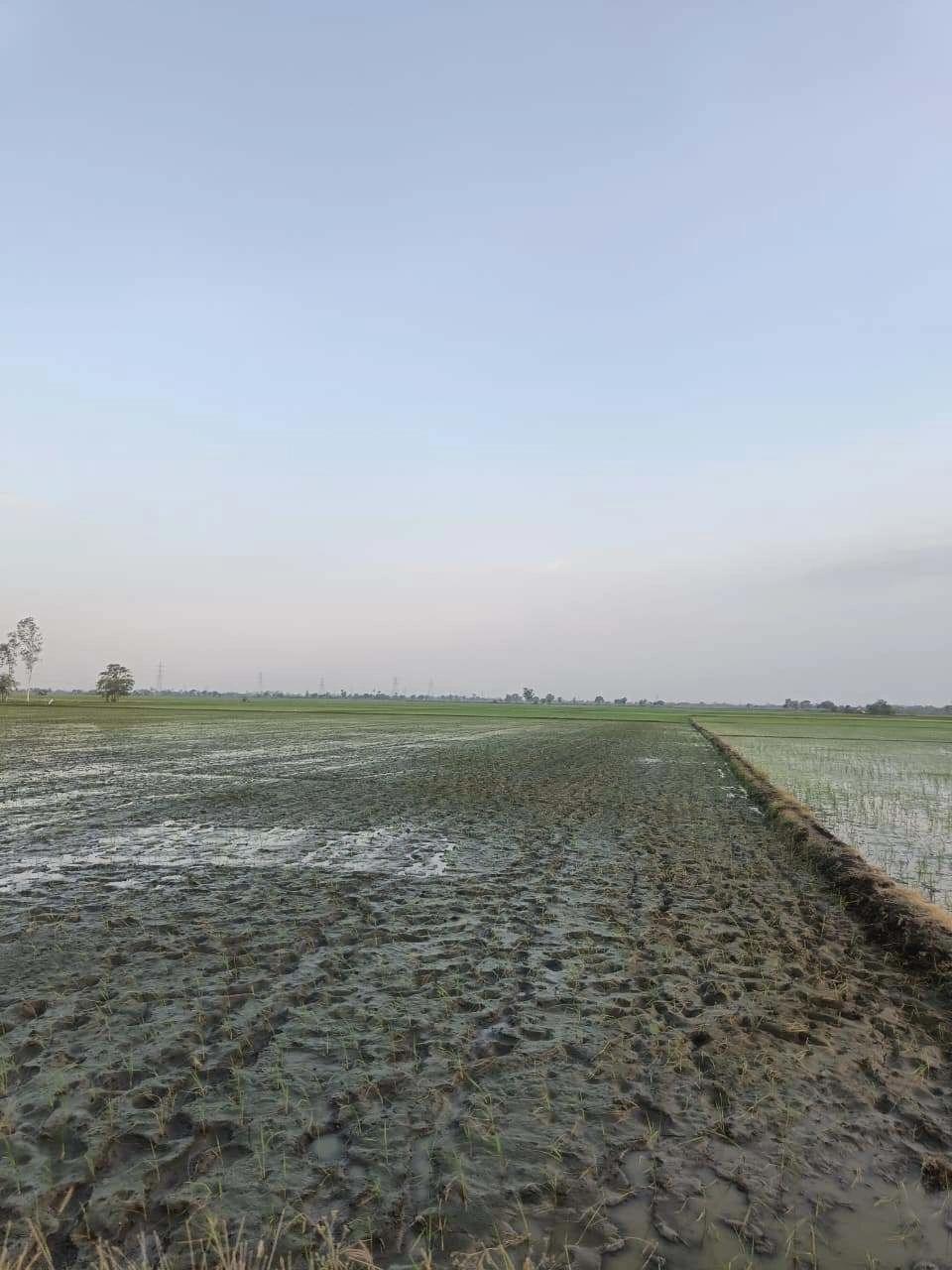 Sankhi, Uttar Pradesh 281401, India preview 3