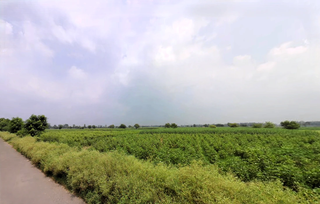 Lalit Khera, Haryana 126114, India