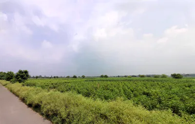 Lalit Khera, Haryana 126114, India preview 3