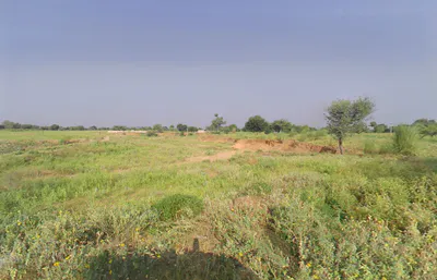 Satnali, Haryana 123024, India preview 3