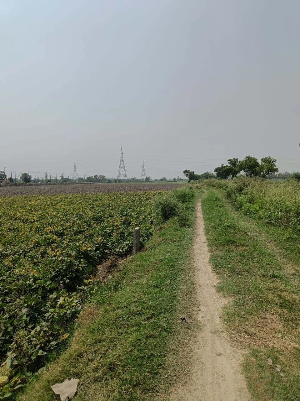 Sahar, Uttar Pradesh, India