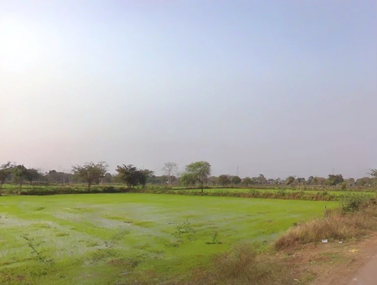 Rajnandgaon, Chhattisgarh 491441, India