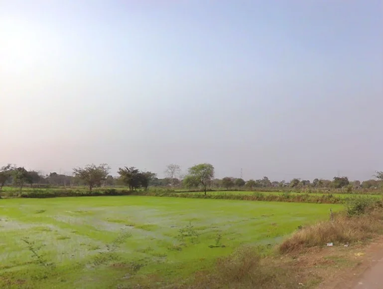 Rajnandgaon, Chhattisgarh 491441, India preview 2