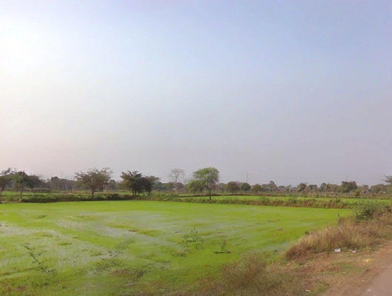 Rajnandgaon, Chhattisgarh 491441, India