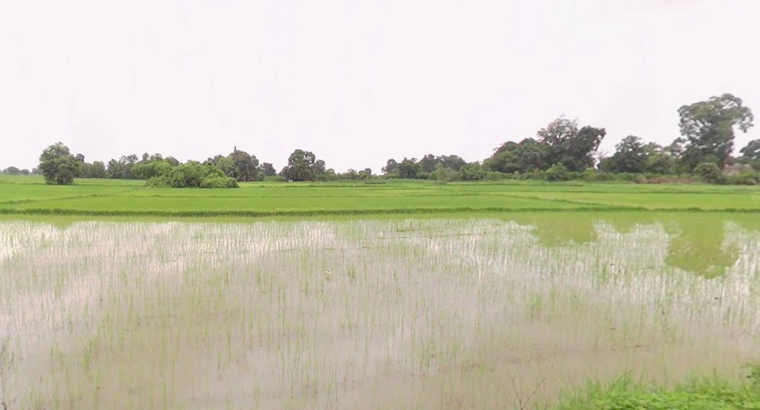 Sadalpur, Madhya Pradesh 454001, India