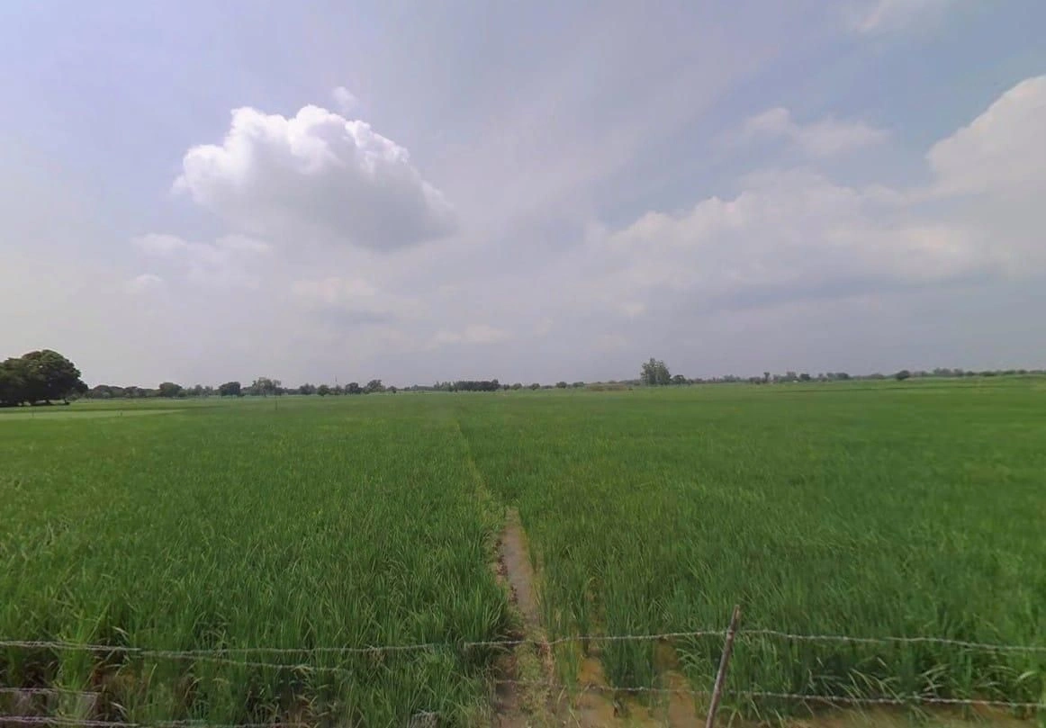 457W+GVM, Pandrawal, Uttar Pradesh 203397, India preview 2