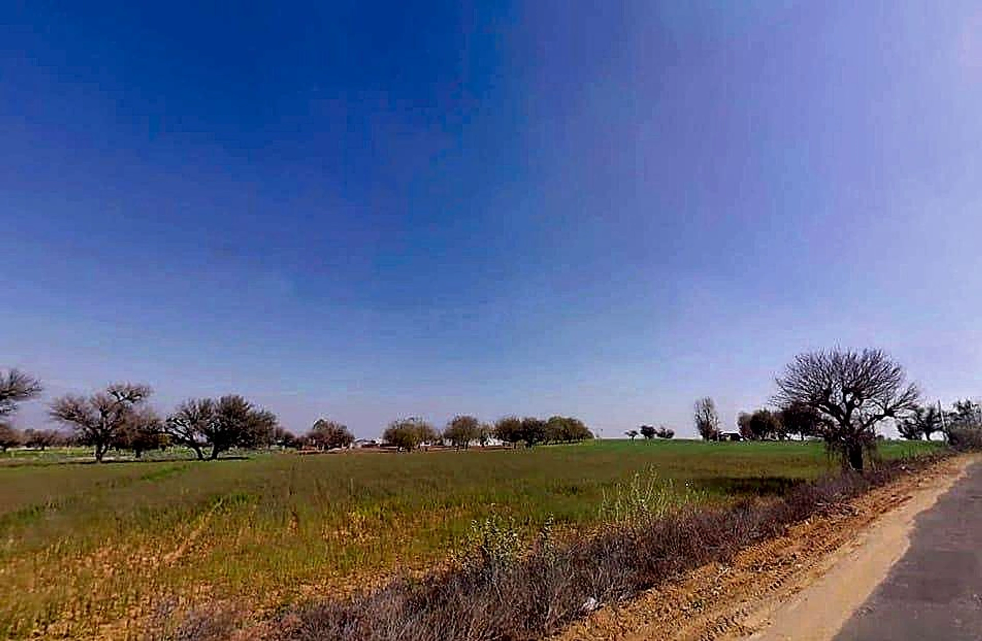 Aloda, Rajasthan 332602, India