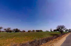 Aloda, Rajasthan 332602, India preview 2