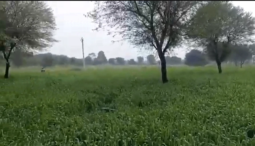 6WX3+32 Bhadana, Kota, Rajasthan, India