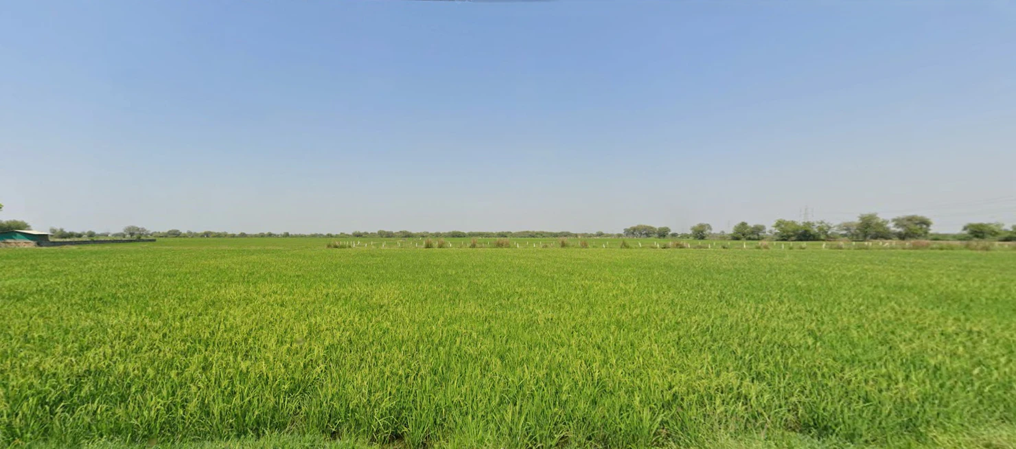 Khanpur, Gujarat 382225, India