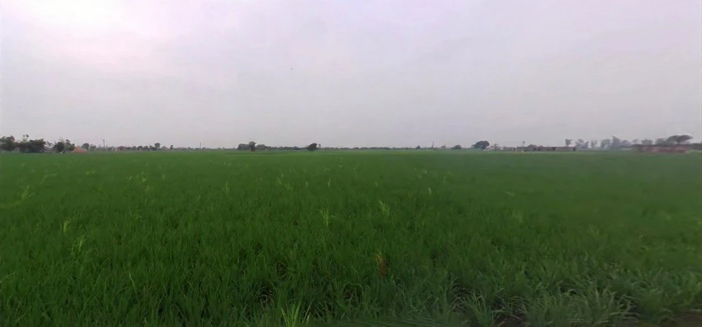 Gheer, Haryana 132023, India