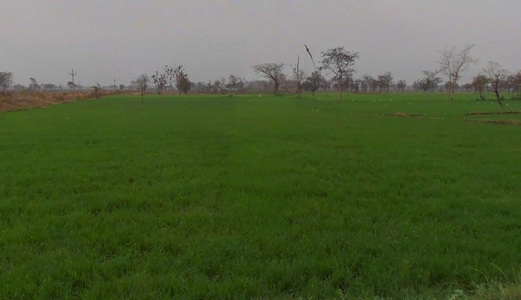 Ranka, Chhattisgarh 491335, India preview 3