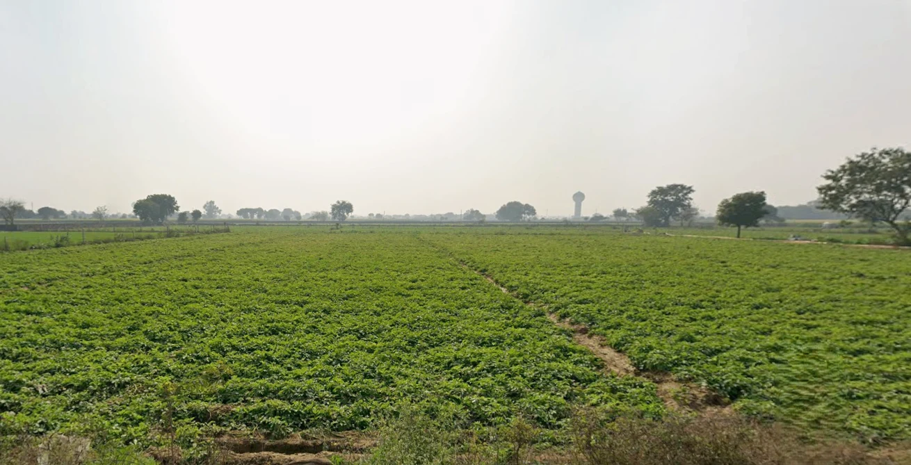 Panwari Rd, Panwari, Uttar Pradesh 282007, India preview 3