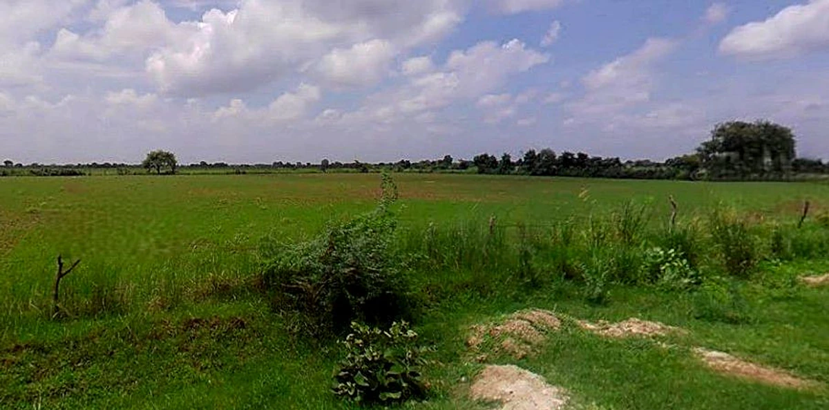 Barsana, Uttar Pradesh 281405, India