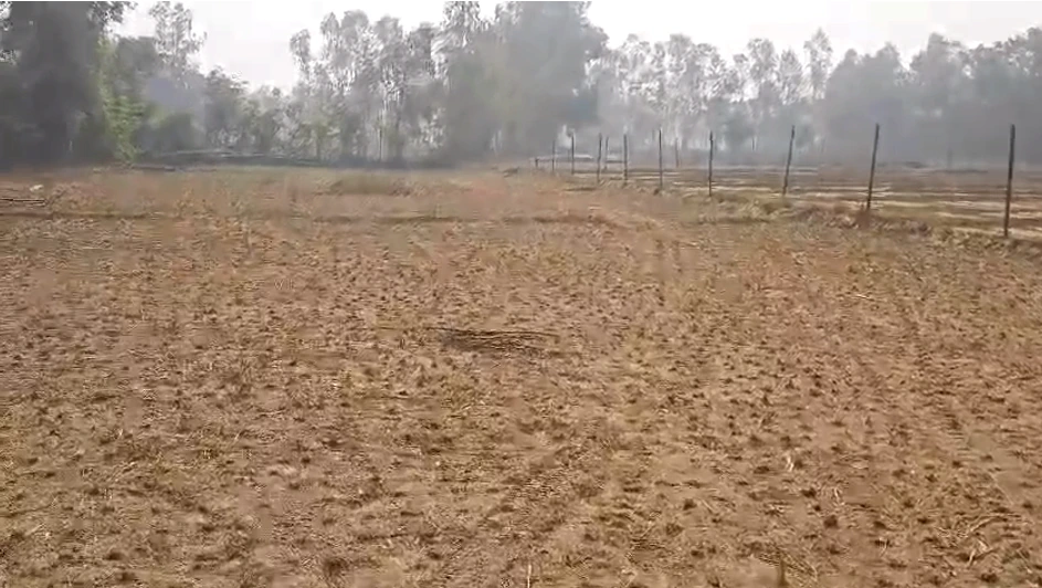 Bichalkha, Barabanki, Uttar Pradesh 225001, India - Photo 4