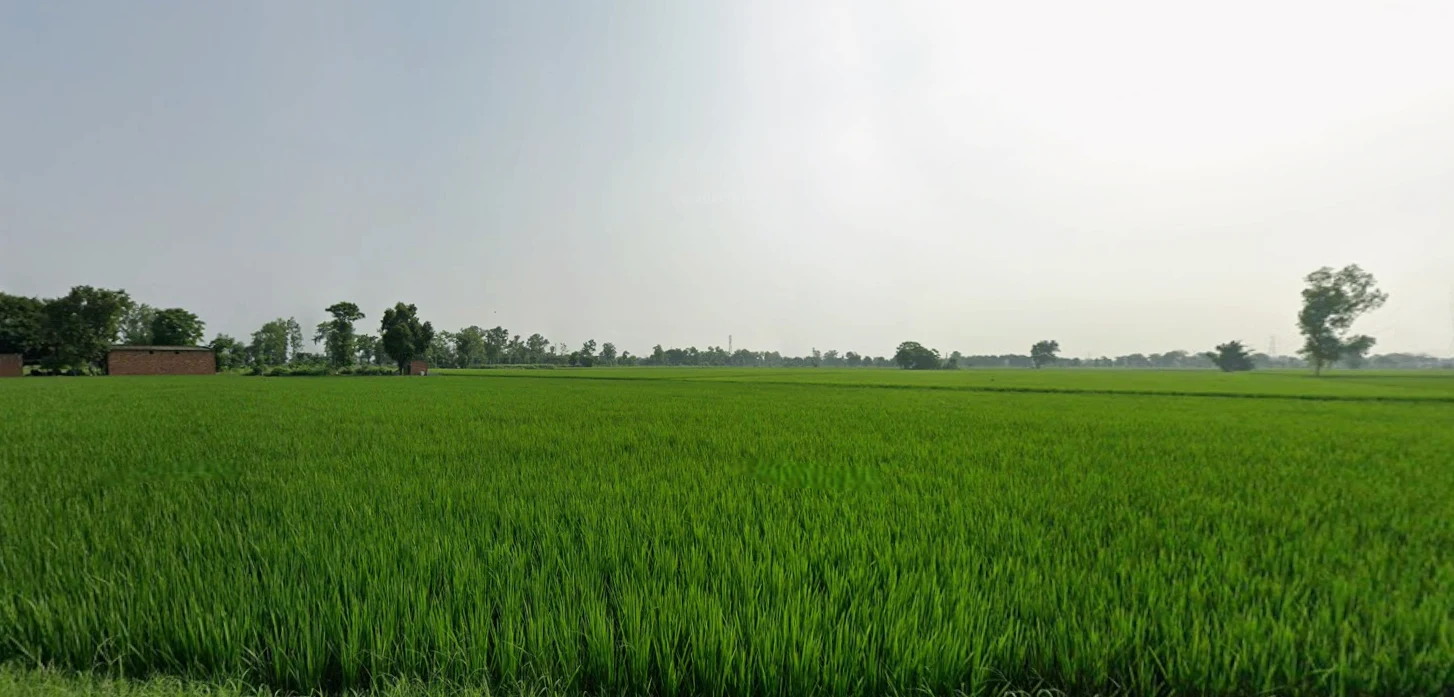 Amritsar, Punjab, India