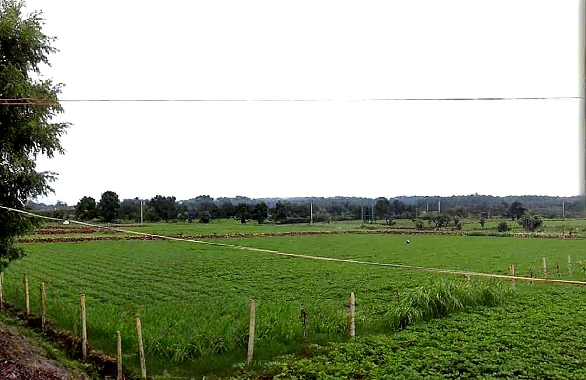 Alahada Khedi, Madhya Pradesh 466001, India