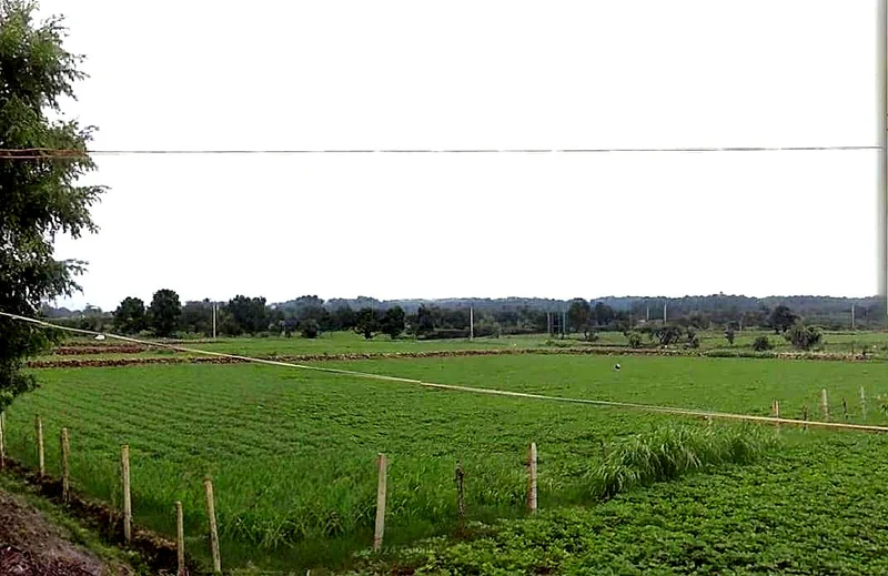 Alahada Khedi, Madhya Pradesh 466001, India preview 3