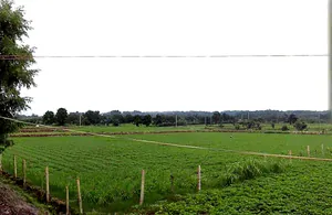 Alahada Khedi, Madhya Pradesh 466001, India preview 3