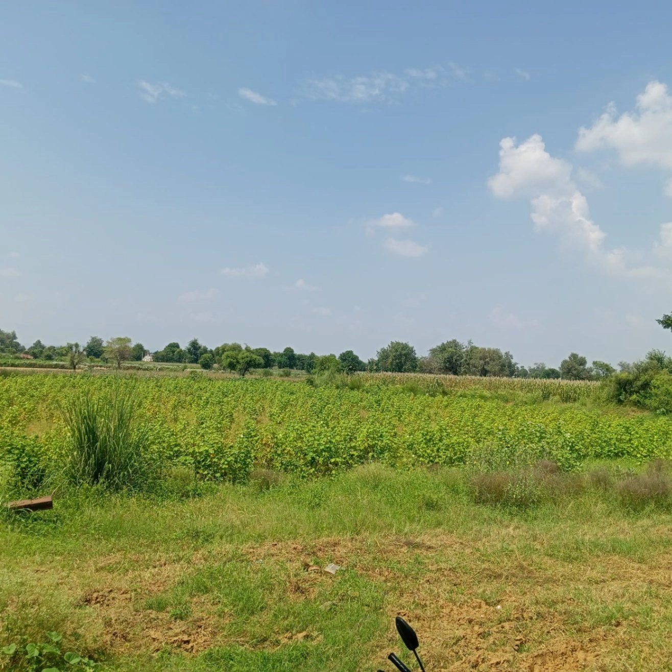 Nithari, Rajasthan