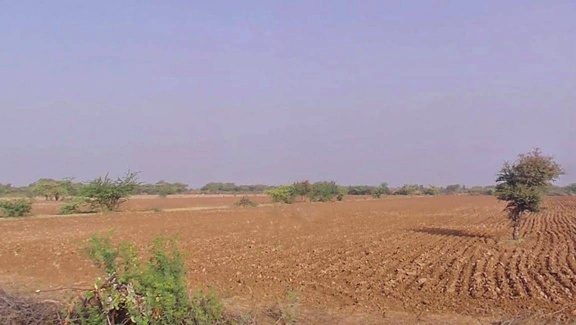 Sadawas, Rajasthan 306401, India