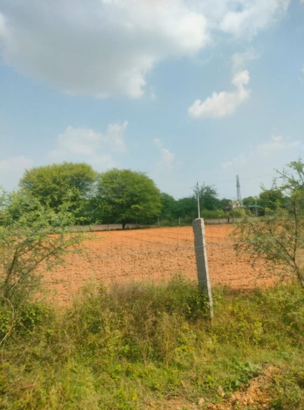 2M34+H45, Dausa, Jhoonpdi, Rajasthan 303313, India