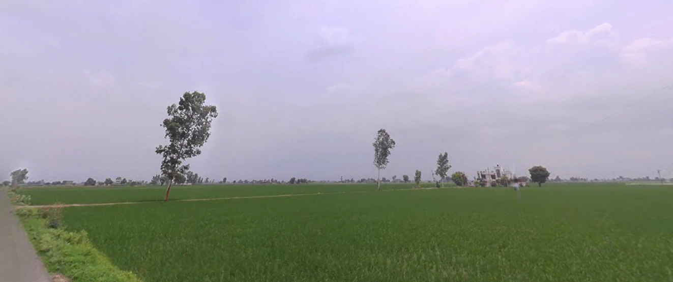 Nurpur Bedi, Punjab 140117, India