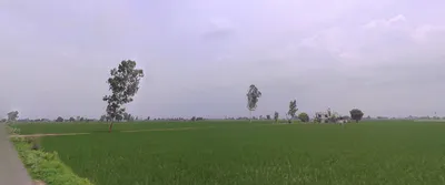 Nurpur Bedi, Punjab 140117, India preview 2