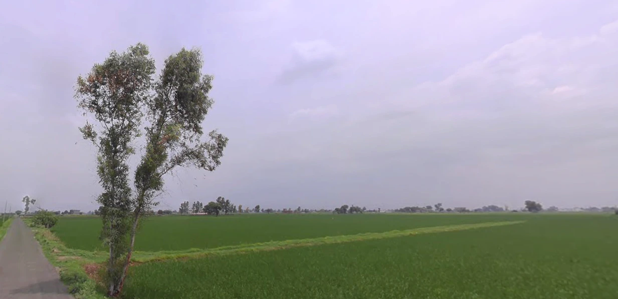 Nurpur Bedi, Punjab 140117, India