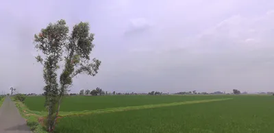 Nurpur Bedi, Punjab 140117, India preview 3