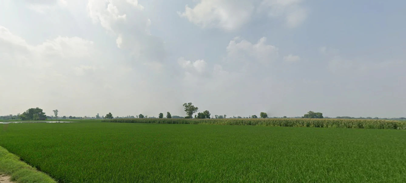 Nurpur Bedi, Punjab 140117, India