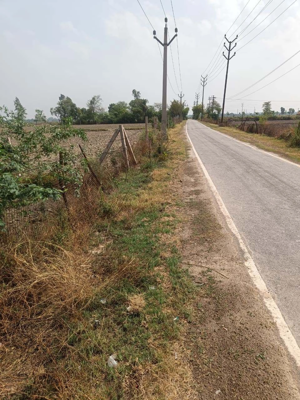 Aou, Rajasthan, India