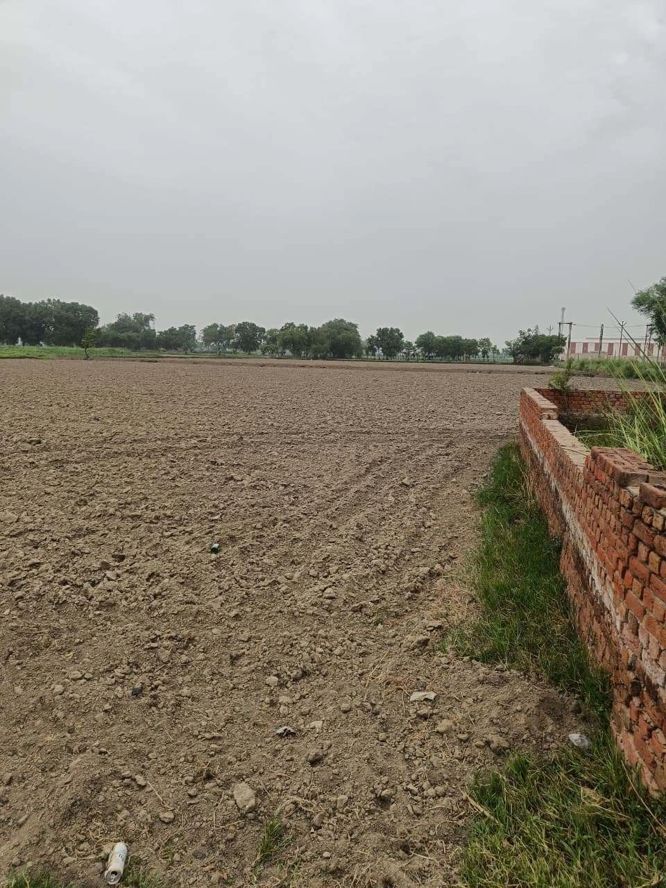 Adampur, Uttar Pradesh, India