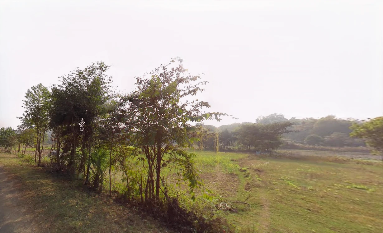 4927+RR9, Nalagola - Pakuahat - Malda Rd, Khiripara, West Bengal 732138, India