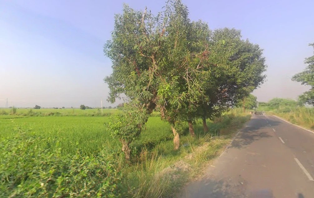 Kalpi Rd, Rai Purwa, Kanpur, Uttar Pradesh, India