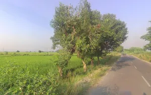 Kalpi Rd, Rai Purwa, Kanpur, Uttar Pradesh, India preview 3