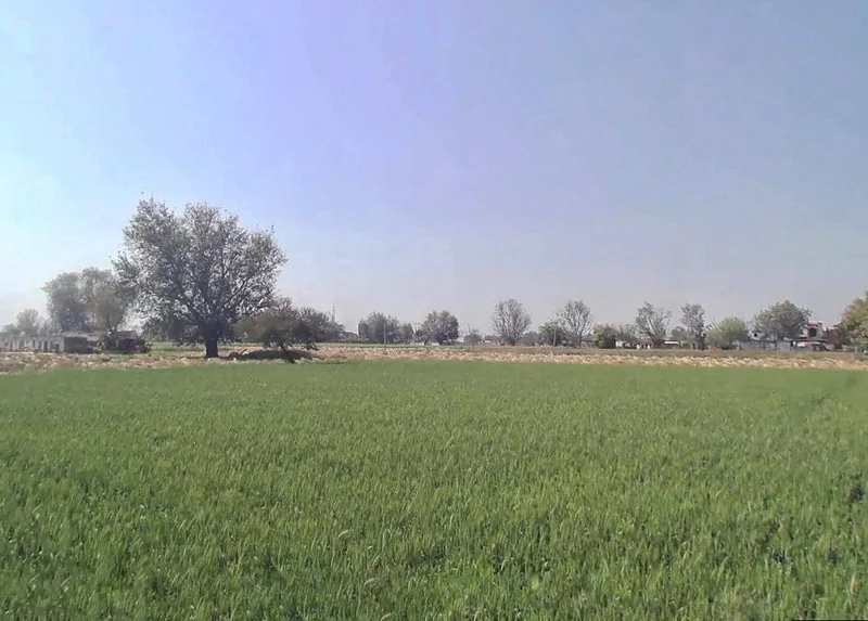 9MWQ+G4 Dhakpuri, Rajasthan, India preview 3