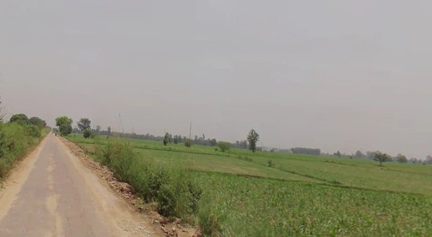 Rafan, Uttar Pradesh 250401, India