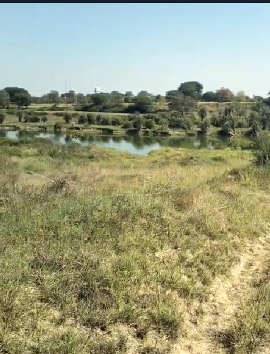 Rattangarh, Punjab 148028, India