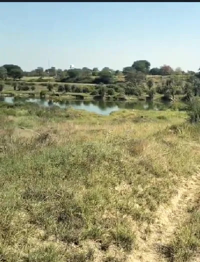 Rattangarh, Punjab 148028, India preview 3
