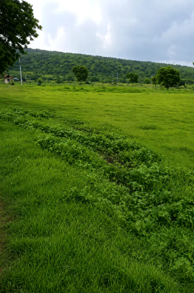 Sonkatch, Dewas, Madhya Pradesh 455118, India preview 2