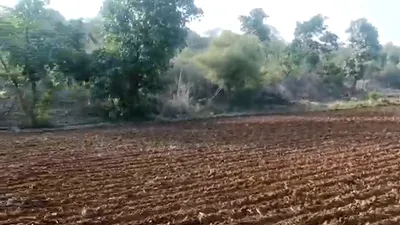 Lalit Khera, Jind, Haryana 126114, India preview 3