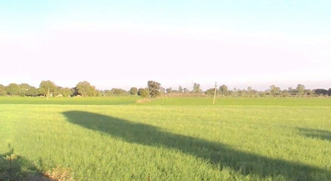 Gopalpura, Madhya Pradesh 475673, India preview 3